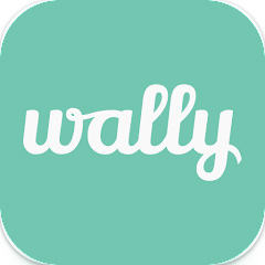 Wally Budgeting app