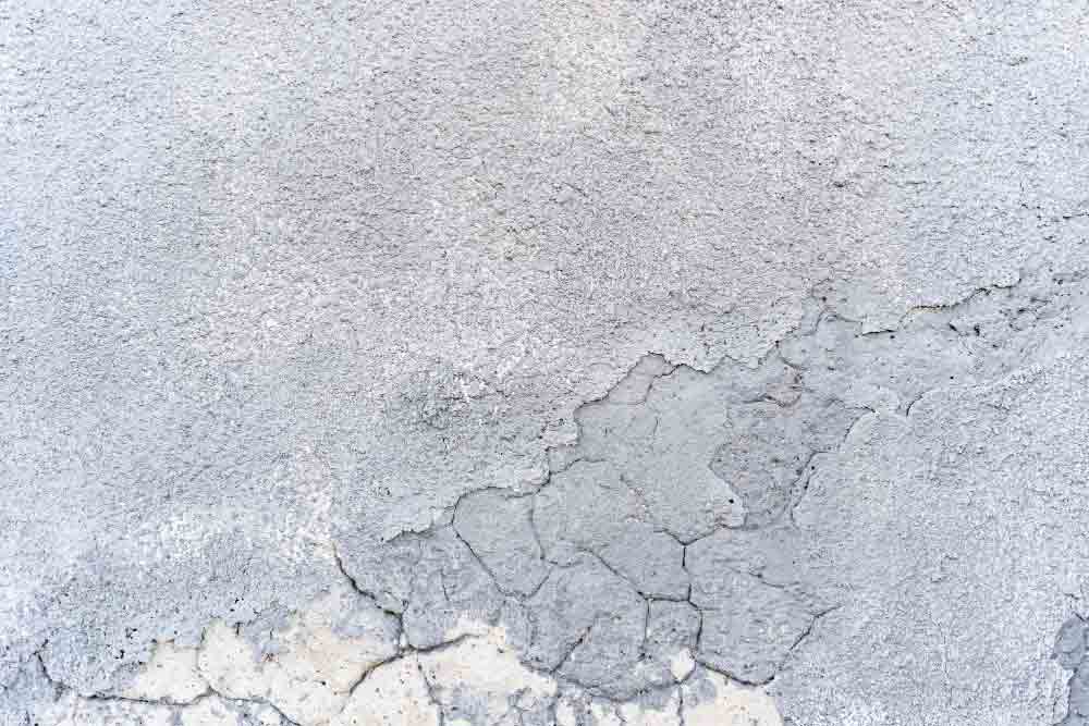Mold Growth after Water Damage