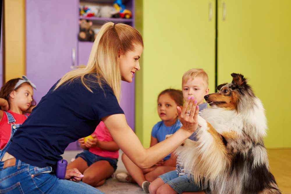 Pets Teach Responsibility