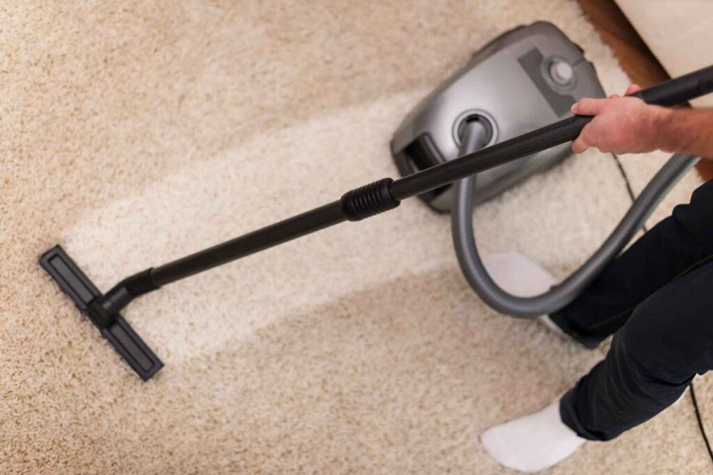 Remove Damp Carpet Or Flooring