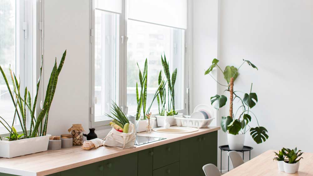 Decorate Kitchen Windows with Small Plants or Glass Shelves