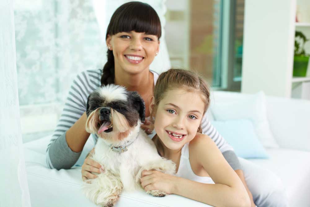 Pets Provide Extra Companionship