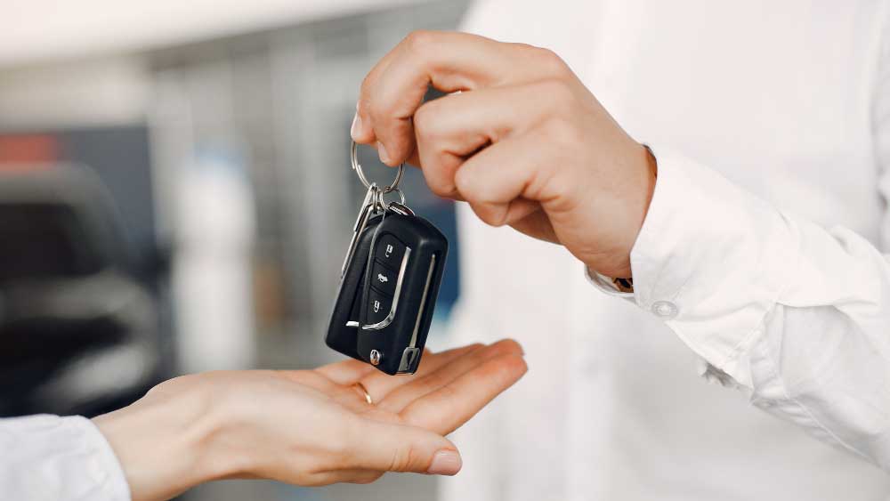 Start a Car Rental Business in Florida