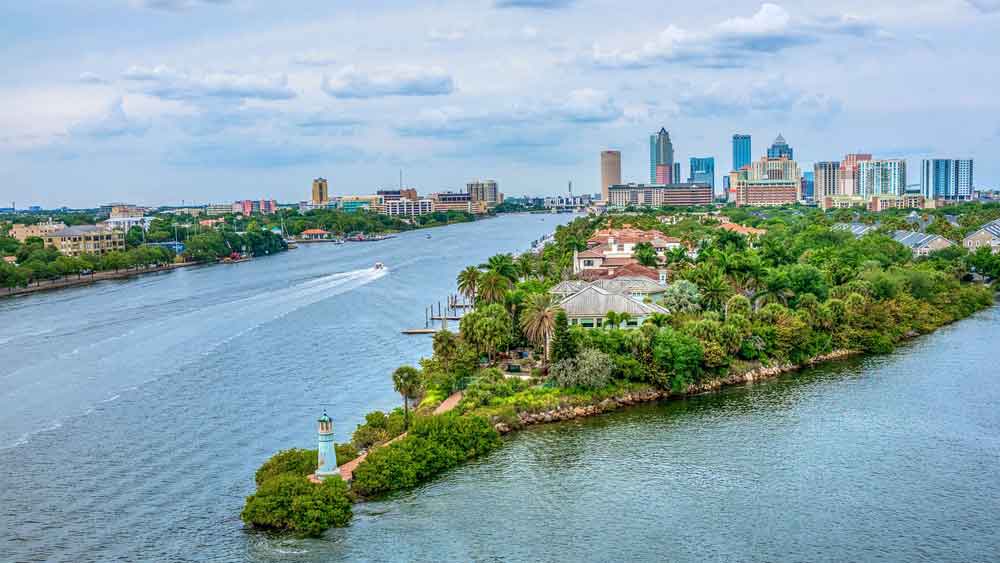 Fun Things To Do In Tampa