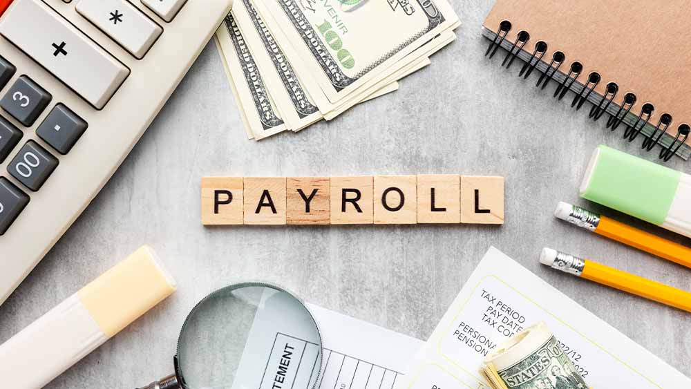 Using Data Analytics from Integrated Payroll Solutions to Drive Business Growth