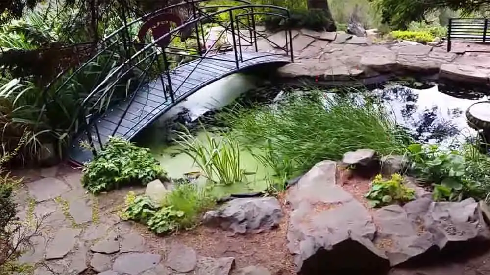 Dr Neil’s Garden
