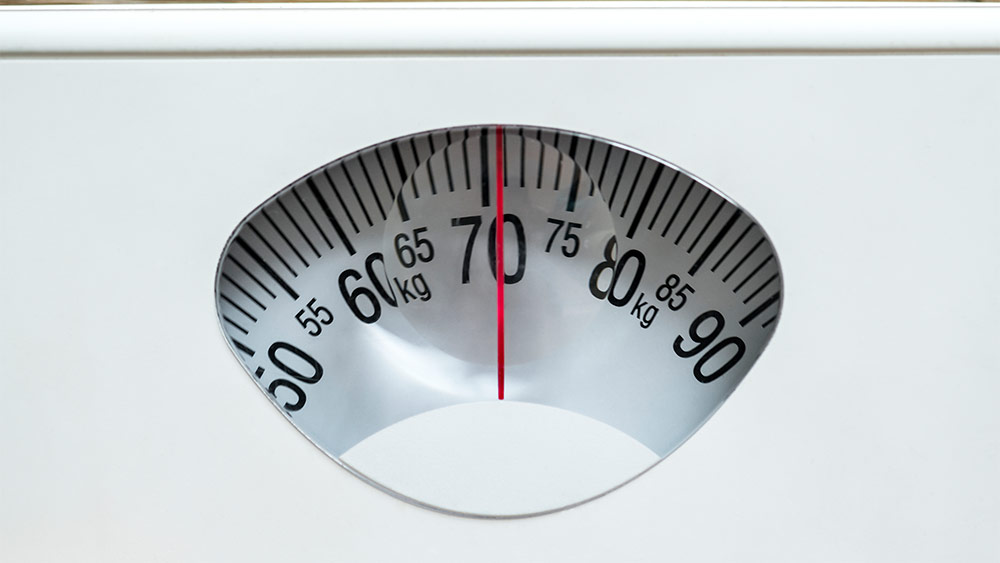 What You Need to Know When Choosing Scales for Your Business?