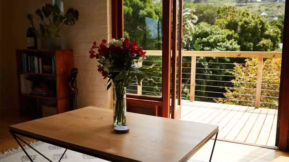 Upgrade your home with room Plants and Flowers