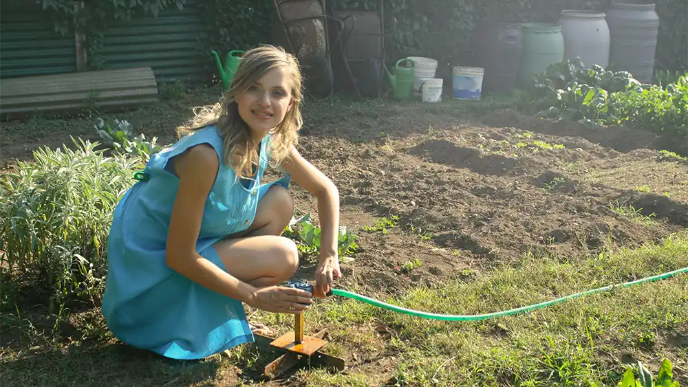 Low Maintenance Backyard Ideas