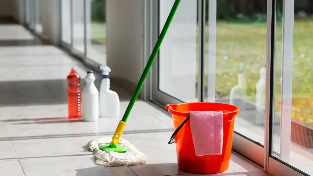 Green Cleaning Practices