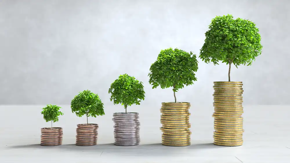 Price and Value Proposition