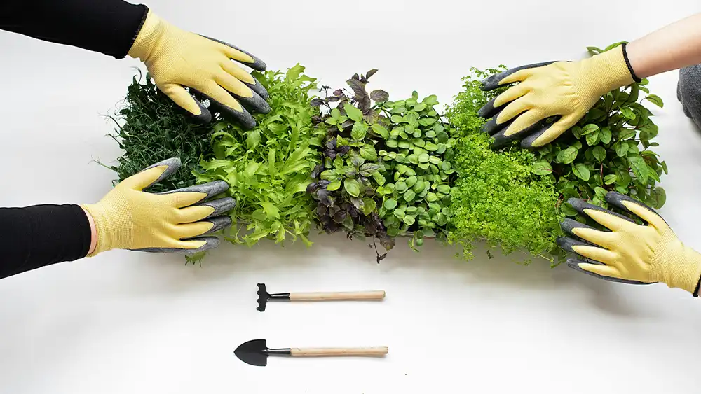 Best Garden Tools
