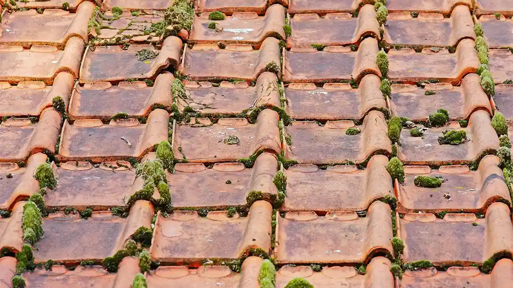 Things to Consider When Upgrading Your Roof