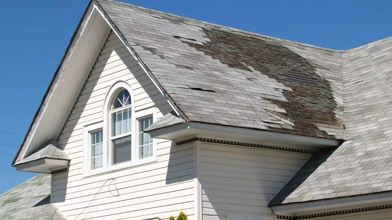 Signs You Need Roof Repairs