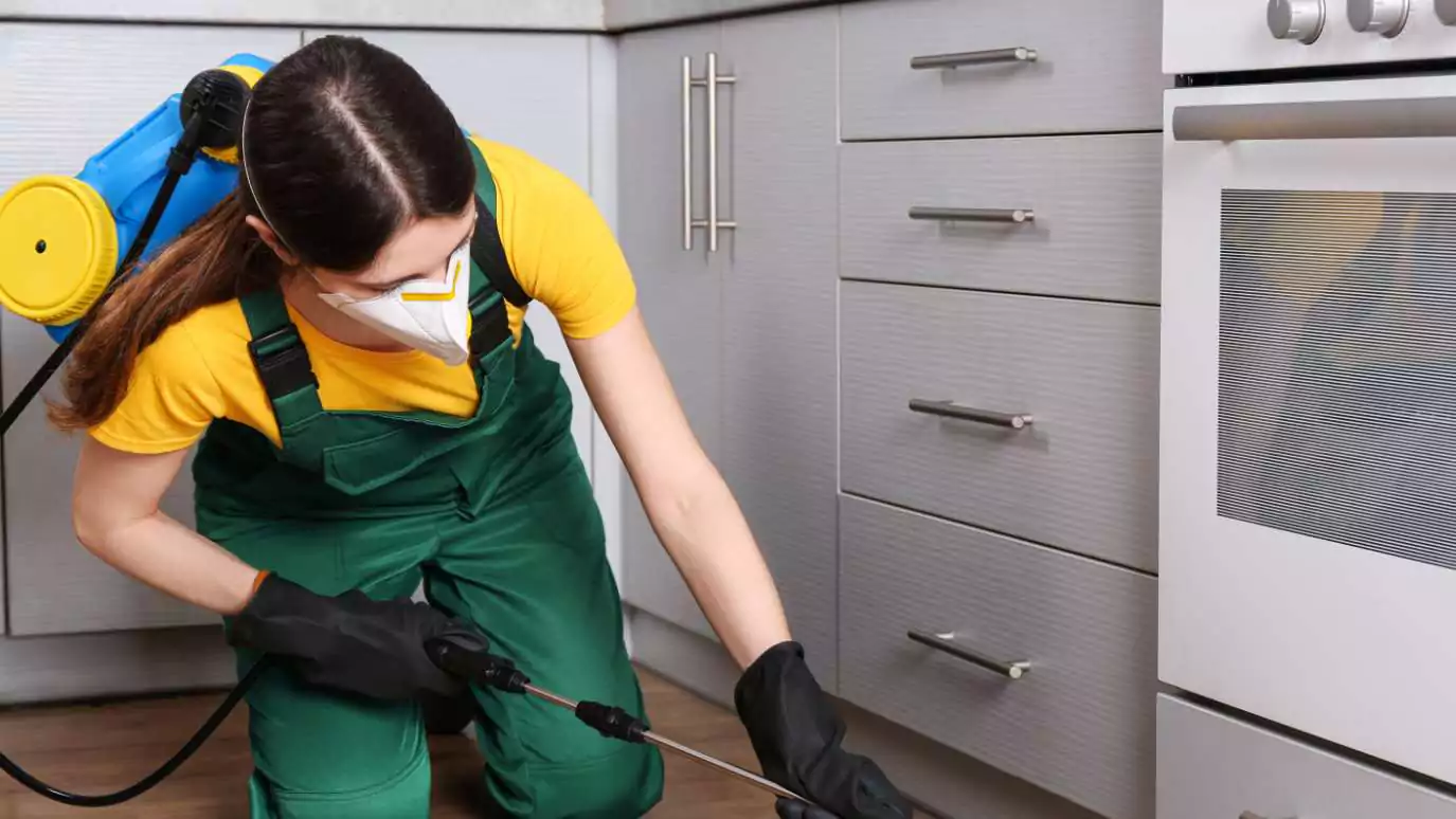 How to Prepare for an Emergency Pest Control Situation