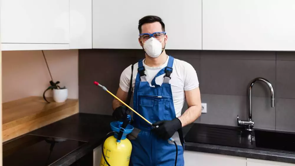 why pest control is important