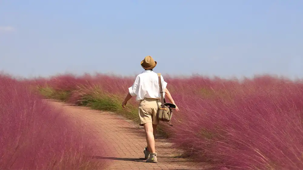 Luxury travel destinations