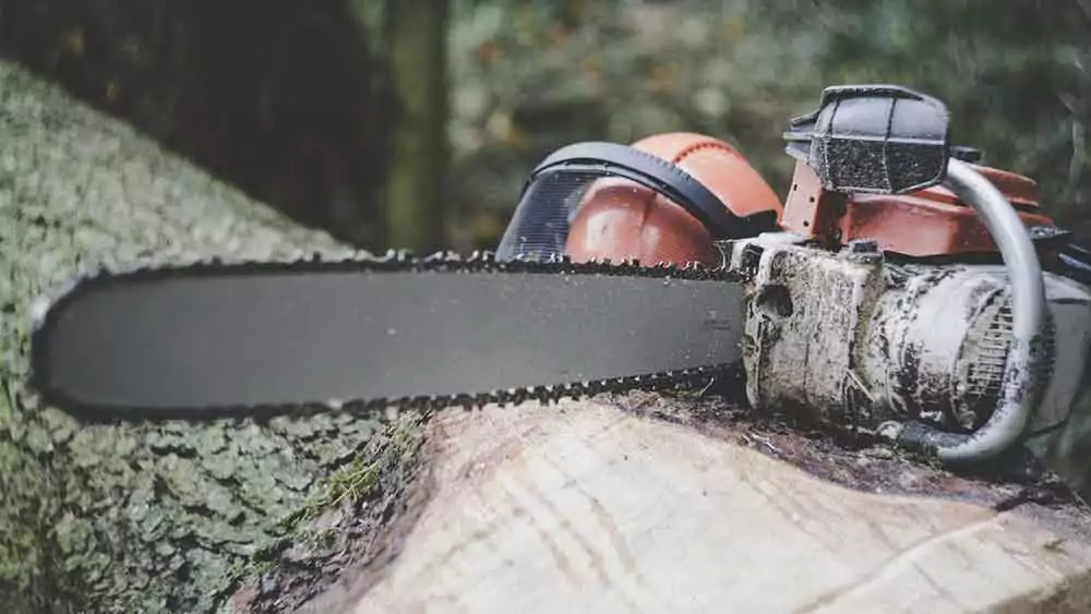 Types of Chainsaws