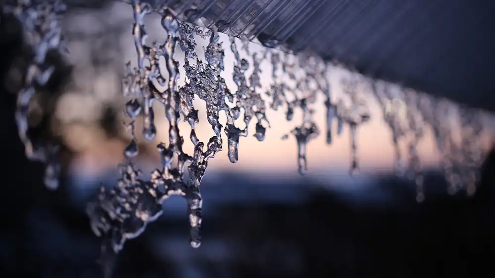 Ensure Proper Roof Ventilation