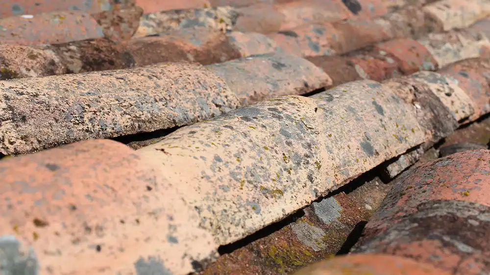 Address Small Repairs Immediately