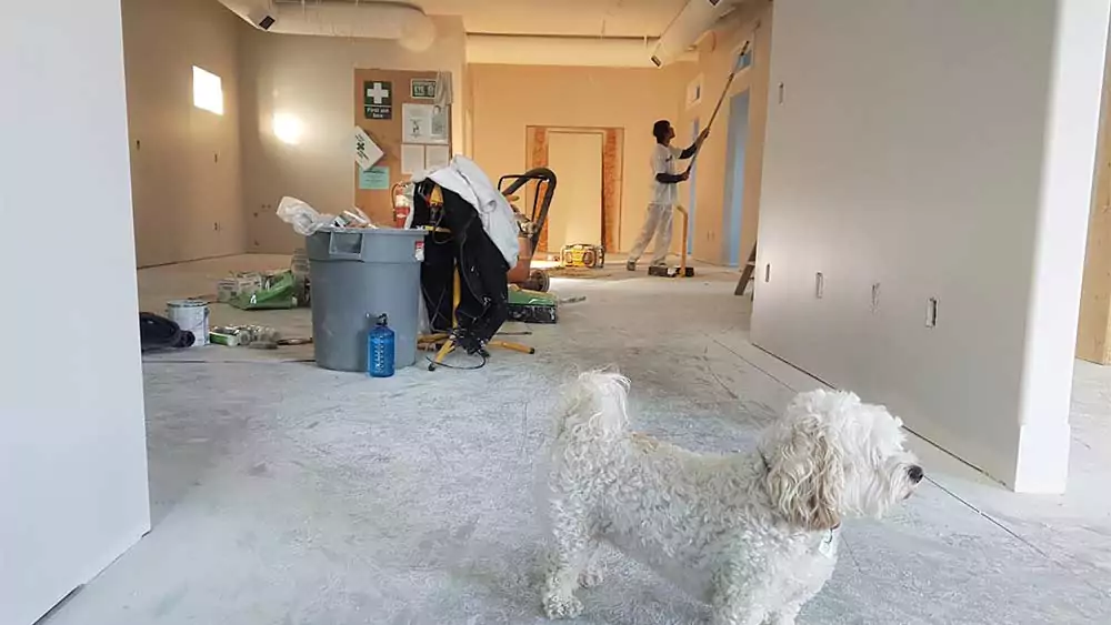 Top Home Renovation Tips