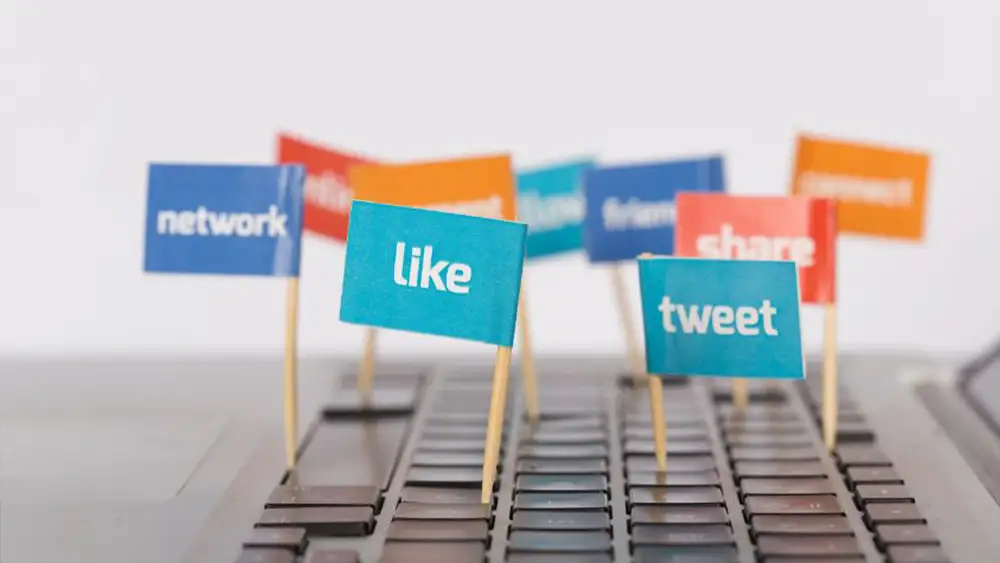Use Analytics to Fine-Tune Your Strategy